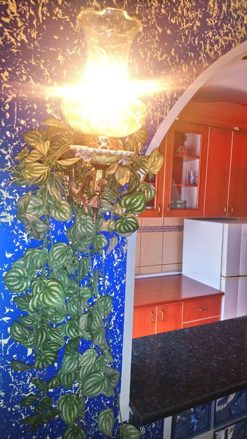 Garden Apartamento Belgrado Exterior foto